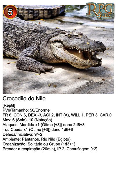 File:Crocodilo do Nilo.jpg